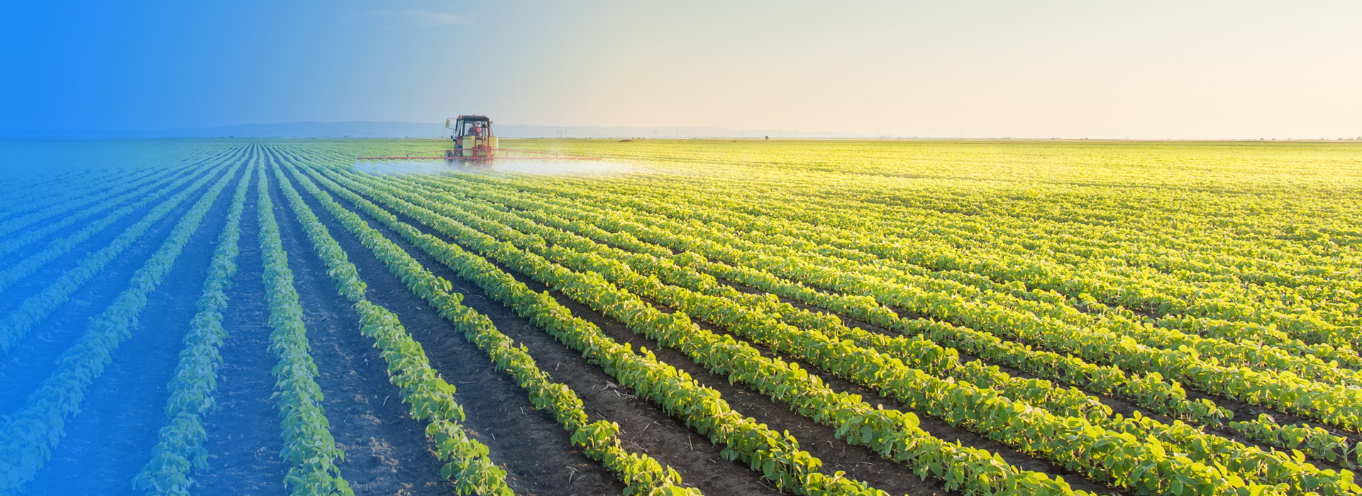 金年会农业公司